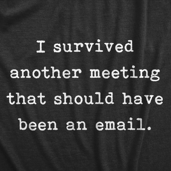 Womens I Survived Another Meeting That Should Have Been An Email Funny Tee For Ladies