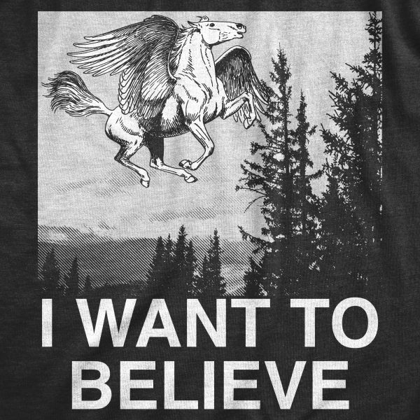 Womens I Want To Believe Pegasus T Shirt Funny Flying Mythical Creature Joke Tee For Ladies