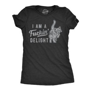Womens Im A Fucking Delight T shirt Funny Offensive Saying Hilarious Tee Womens Im A Fucking Delight T shirt Funny Offensive Saying Hilarious Tee