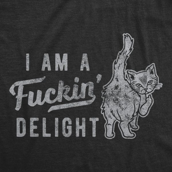 Womens Im A Fucking Delight T shirt Funny Offensive Saying Hilarious Tee