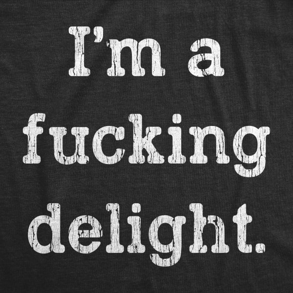 Womens I’m A Fucking Delight Tshirt Funny Offensive Hilarious Saying Graphic Tee