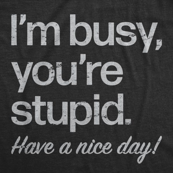 Womens Im Busy Youre Stupid Have A Nice Day T Shirt Funny Rude Anti Social Joke Tee For Ladies