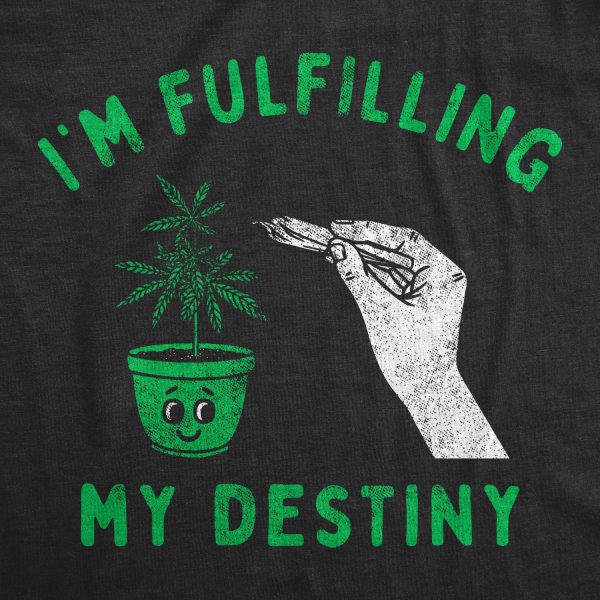 Womens Im Fulfilling My Destiny Weed T Shirt Funny Sarcastic 420 Pothead Graphic Tee
