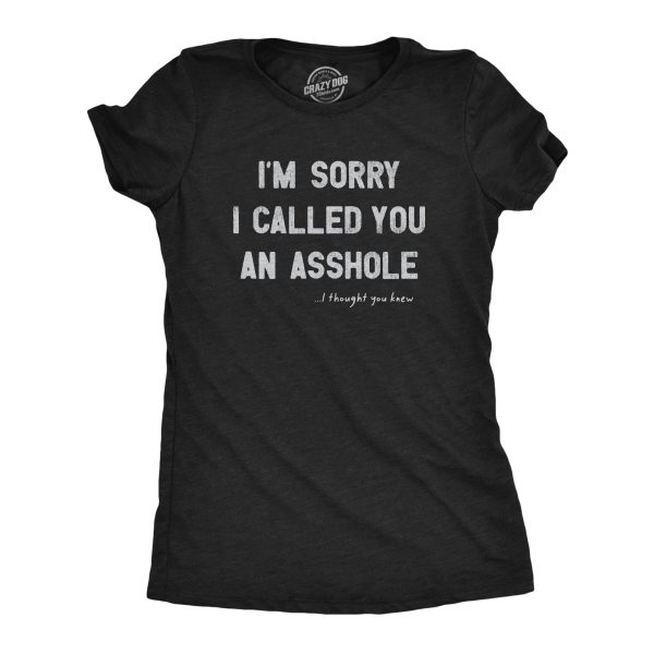 Womens Im Sorry I Called You An Asshole T Shirt Funny Rude Joke Tee For Ladies