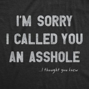 Womens Im Sorry I Called You An Asshole T Shirt Funny Rude Joke Tee For Ladies