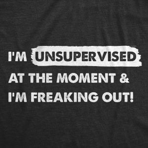 Womens Im Unsupervised At The Moment And Im Freaking Out T Shirt Funny Adulting Joke Tee For Ladies