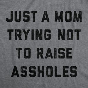 Womens Just A Mom Trying Not To Raise Assholes Tshirt Funny Parenting Adulting Graphic Tee