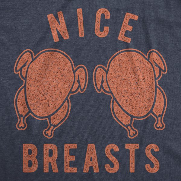 Womens Nice Breasts Tshirt Funny Thanksgiving Turkey Boobs Graphic Novelty Tee