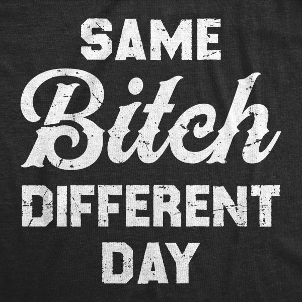 Womens Same Bitch Different Day T Shirt Funny Offensive Vulgar Joke Tee For Ladies