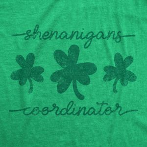 Womens Shenanigans Coordinator Tshirt Funny Saint Patrick’s Day Parade Graphic Novelty Tee For Ladies