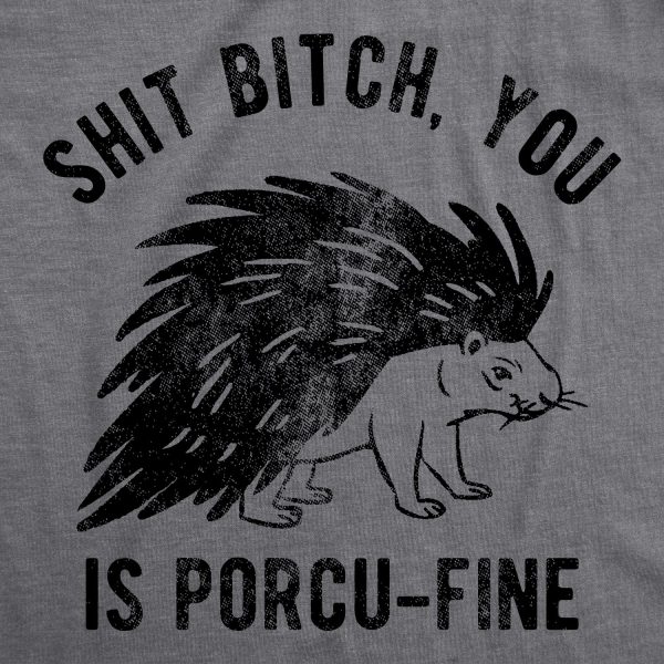 Womens Shit Bitch You Is Porcu Fine T Shirt Funny Offensive Porcupine Joke Tee For Ladies