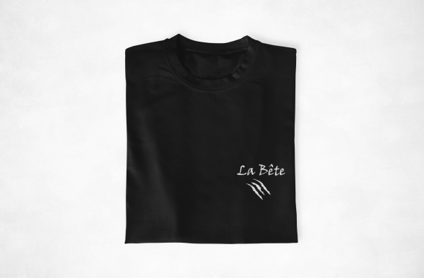 T-shirt assortis pour couple La Belle et la Bete cote coeur