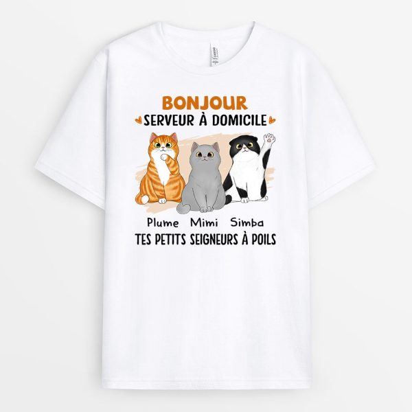 Bonjour Serveur Serveuse a Domicile – Cadeau Personnalise  T-shirt pour Amoureux des Chats