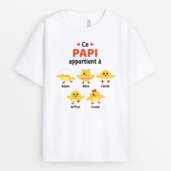 T-shirt Ce Papi Appartient A Poussins Personnalise