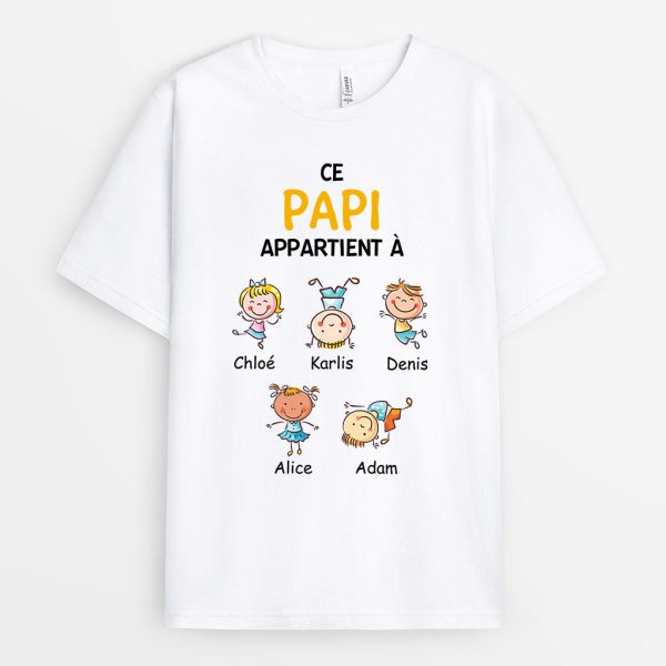 T-shirt Ce Papi Appartient A Vilain Personnalise