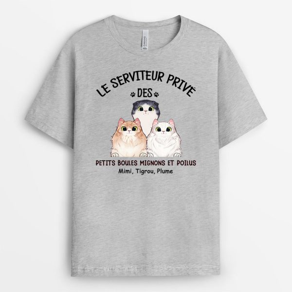 T-shirt Le Serviteur Prive Des Chats Personnalise