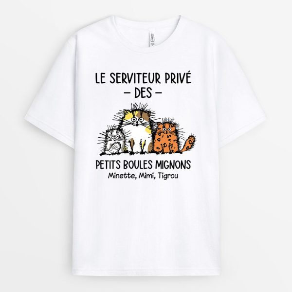 T-shirt Le Serviteur Prive Des Petites Boules Migonnes Personnalise