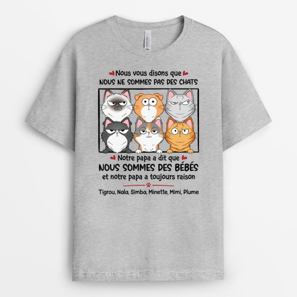 T-shirt Nous Vous Disons Que Nous Ne Sommes Pas Des Chats Personnalise