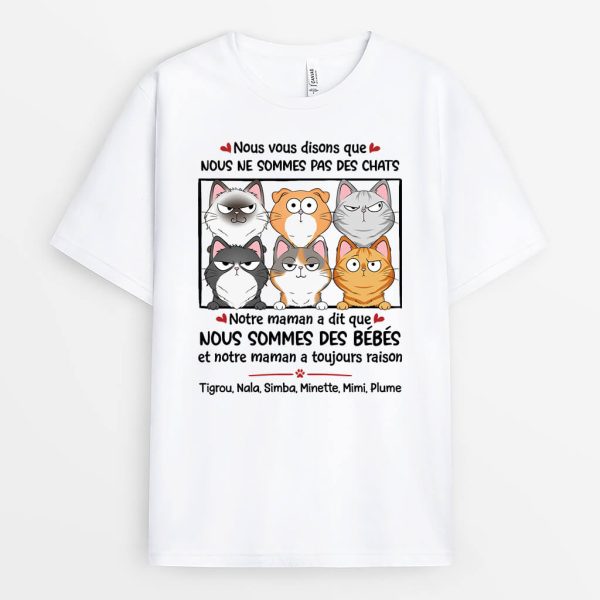 T-shirt Nous Vous Disons Que Nous Ne Sommes Pas Des Chats Personnalise