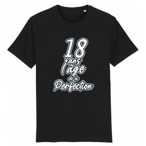 18 ans l’age de la perfection, cadeau anniversaire 18 ans 18 ans l’age de la perfection, cadeau anniversaire 18 ans