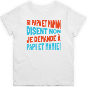 T shirt enfant Je demande a papi et mamie T shirt enfant Je demande a papi et mamie