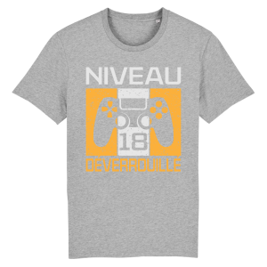 Tee-shirt anniversaire 18 ans pour gamer Tee-shirt anniversaire 18 ans pour gamer