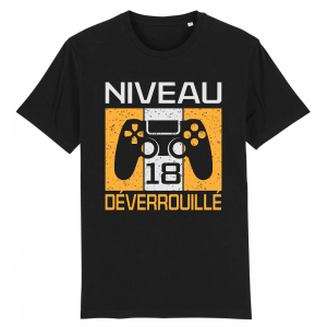 Tee-shirt anniversaire 18 ans pour gamer Tee-shirt anniversaire 18 ans pour gamer
