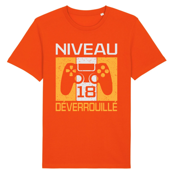 Tee-shirt anniversaire 18 ans pour gamer