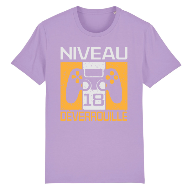 Tee-shirt anniversaire 18 ans pour gamer