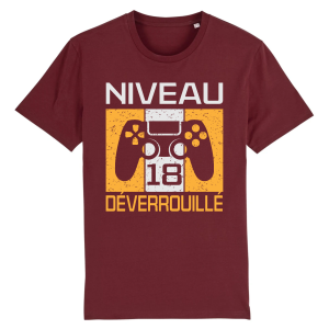 Tee-shirt anniversaire 18 ans pour gamer 7 Tee shirt anniversaire 18 ans pour gamer 8