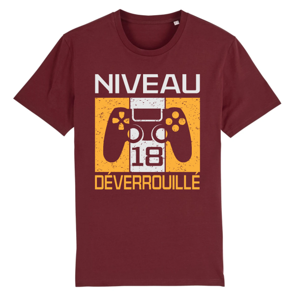 Tee-shirt anniversaire 18 ans pour gamer