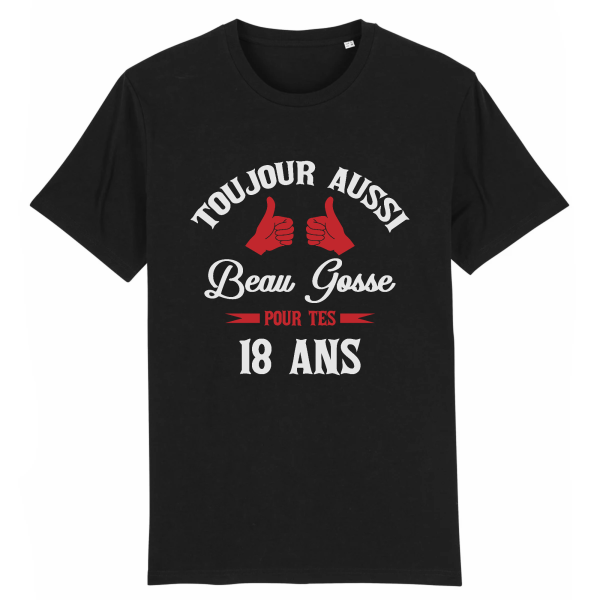 Tee-shirt beau gosse 18 ans