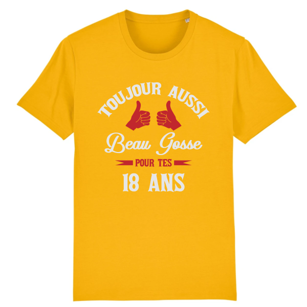 Tee-shirt beau gosse 18 ans