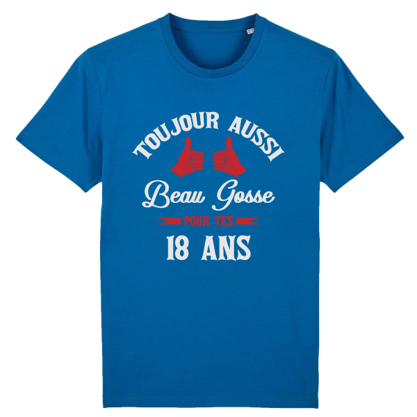 Tee-shirt beau gosse 18 ans