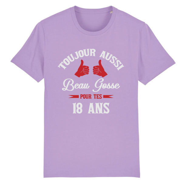 Tee-shirt beau gosse 18 ans