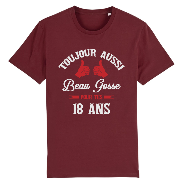 Tee-shirt beau gosse 18 ans