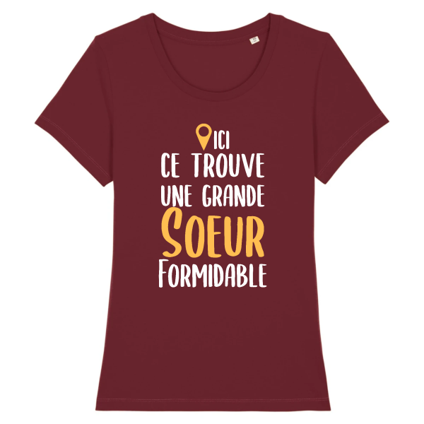 Tee-shirt grande soeur formidable