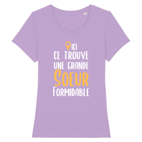 Tee-shirt grande soeur formidable