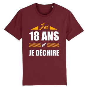 t-shirt anniversaire 18 ans Je dechire 2 t shirt anniversaire 18 ans Je dechire 2