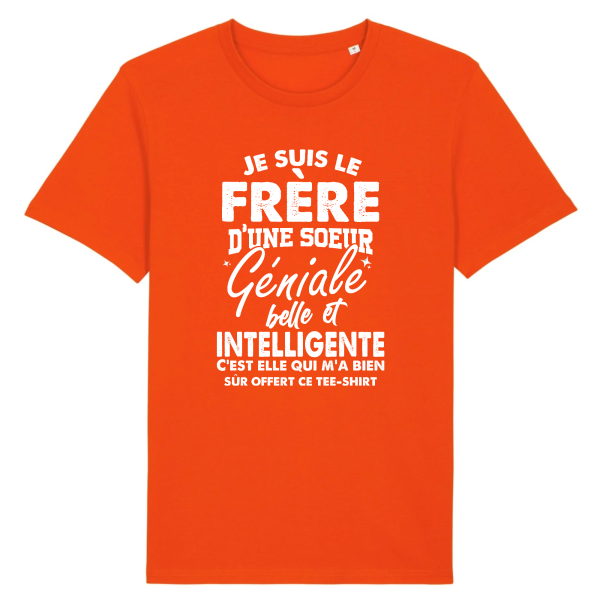 t-shirt frere d’une soeur geniale, humour