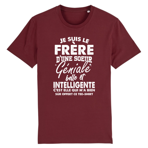 t-shirt frere d’une soeur geniale, humour