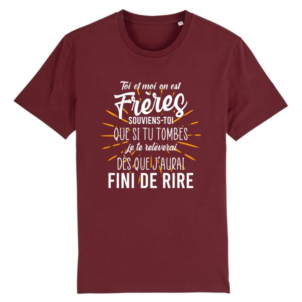 t-shirt frere humour