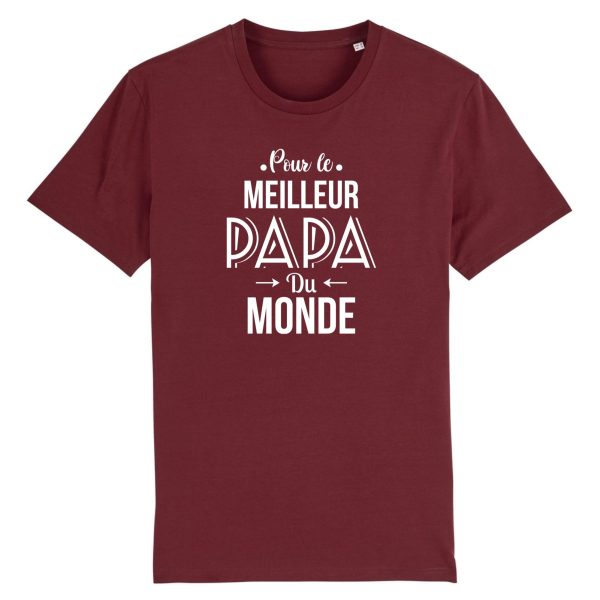 t-shirt meilleur papa du monde, cadeau papa