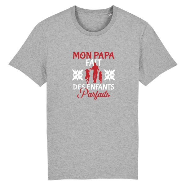 t-shirt papa et enfants parfaits