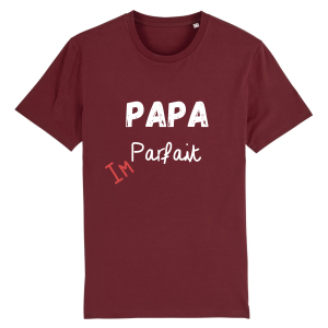 t shirt papa parfait idee cadeau papa 4