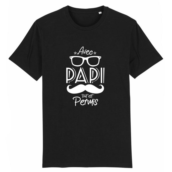 t-shirt papy , tout est permis