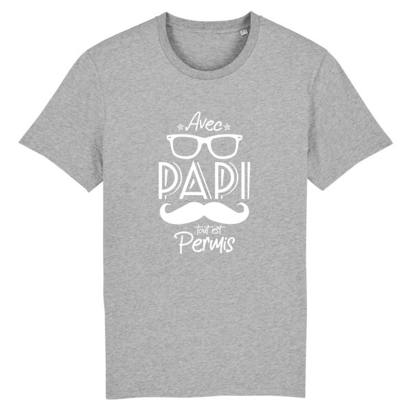 t-shirt papy , tout est permis