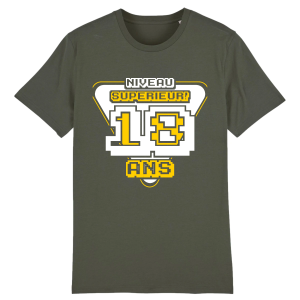 tee-shirt 18 ans , cadeau anniversaire gamer tee-shirt 18 ans , cadeau anniversaire gamer