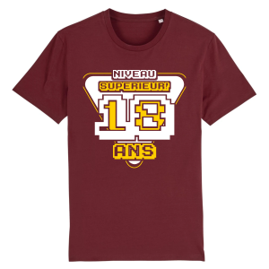 tee-shirt 18 ans , cadeau anniversaire gamer 3 tee shirt 18 ans cadeau anniversaire gamer 4