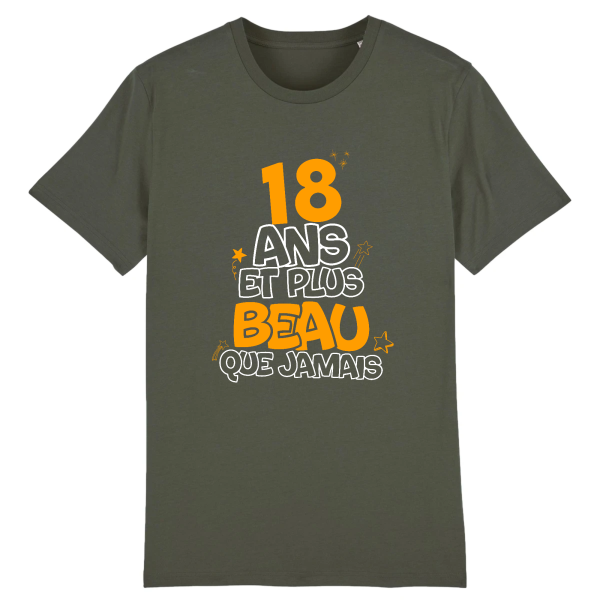 tee-shirt 18 ans pour beau gosse